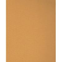 The Insect Societies (Belknap Press)