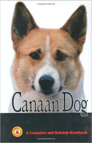 Get Canaan Dog Lee Boyd Victor Kaftal 9780793808007 Amazon Com Books Free HD Wallpaper Canaan Dog Lee Boyd Victor Kaftal 9780793808007 Amazon Com Books Desktop Wallpaper Free