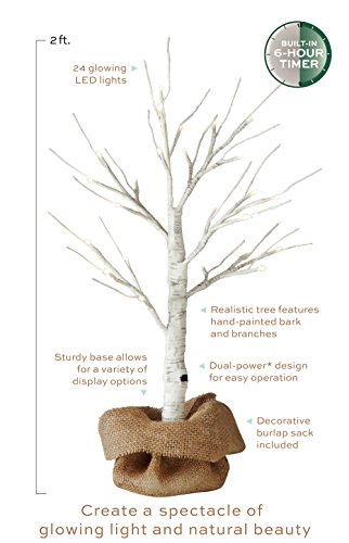 2 LOFTPLUS+Hand+Painted+Battery+Operated+Adapter+Included