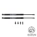MGPRO 2pcs Rear Trunk Lid Gas Lift Supports Strut Shocks For BMW 2006-2011 E90 323i 325i 325xi 328i 328xi 328i xDrive 330i 330xi 335d 335i 335i xDrive 335xi M3 4-Door Sedan