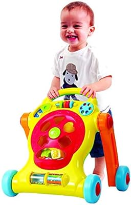 tiny steps walker with shape sorter activities