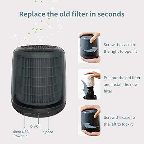 QUEENTY Mini Air Purifier - Desktop Air Cleaner with True HEPA Filter Odor Allergies Eliminator for Smoke, Dust, Home, Office and Pets FG05