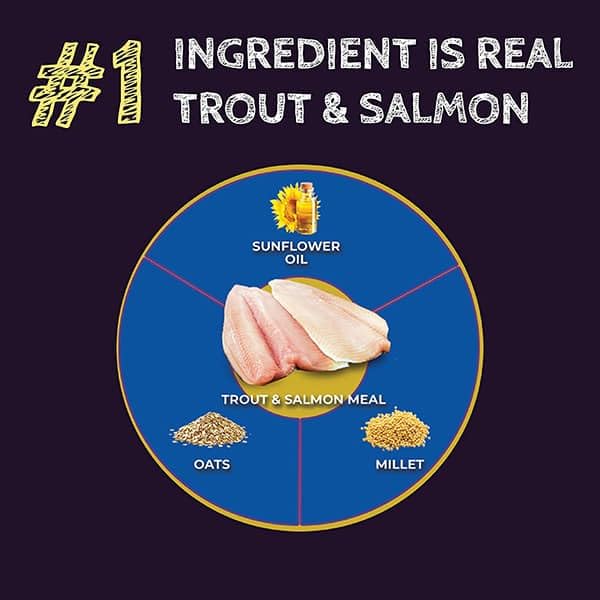 ZIGNATURE SELECT CUTS TROUT & SALMON FORMULA DRY DOG FOOD 4LB