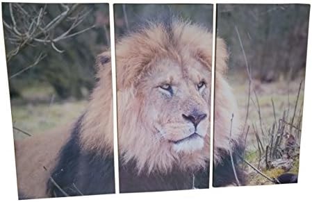 Very artistic Giclee Artwork Wall Art Painting Print on Canvas Home Decor Decoration Artwork 3 Panel Stretched by Wooden Frame and Ready to Hang Prairie Lion