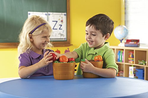 Learning Resources New Sprouts Bushel of Fruit