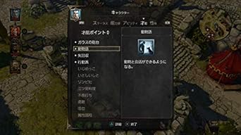 Amazon ディヴィニティ オリジナル シン エンハンスド エディション Ps4 ゲームソフト