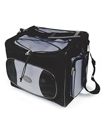 RoadPro   Bolsa térmica de viaje de 12 voltios con