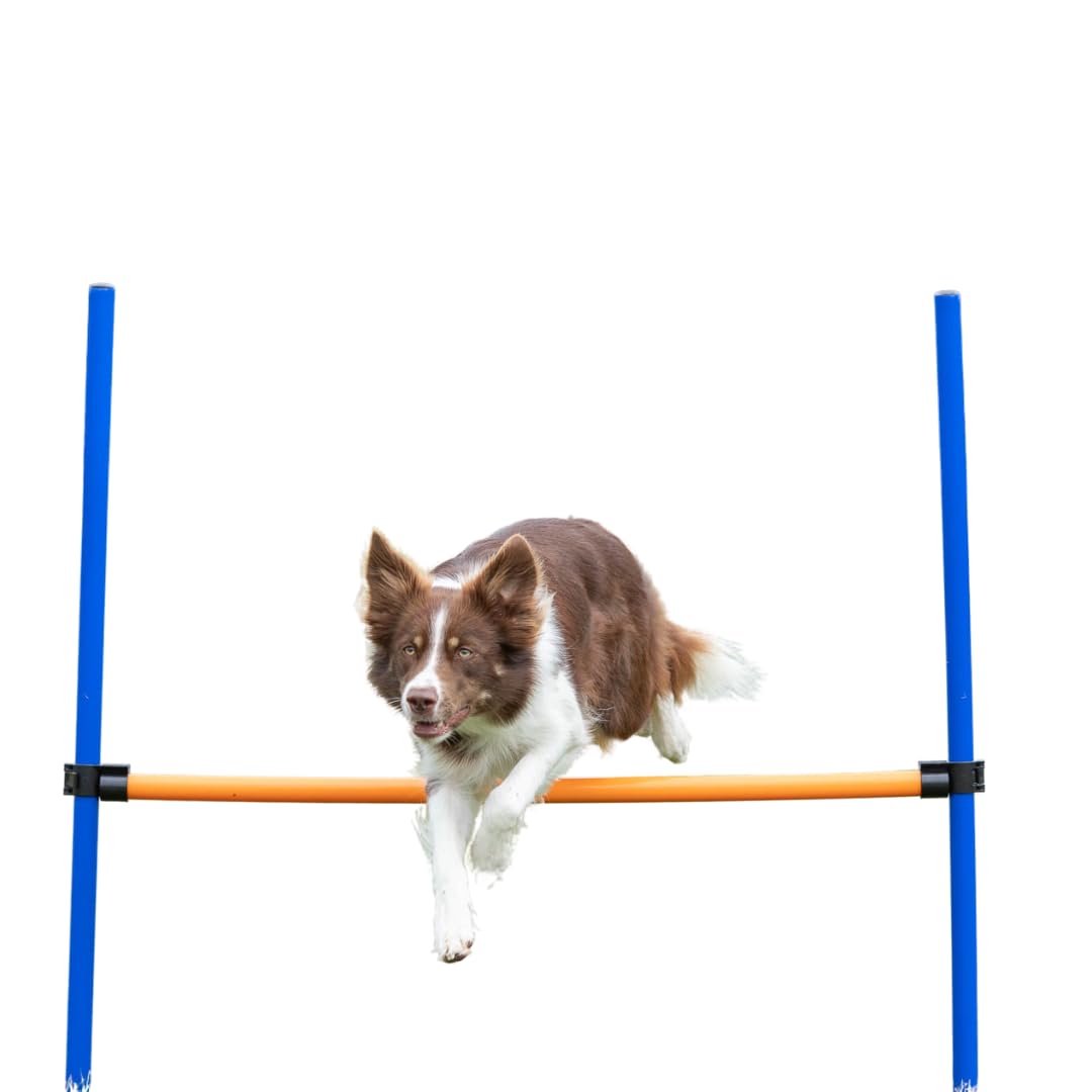 Trixie Dog Activity Agility Hurdle, 123 ﾗ 115 ﾗ 3 cm, Orange/ Blue