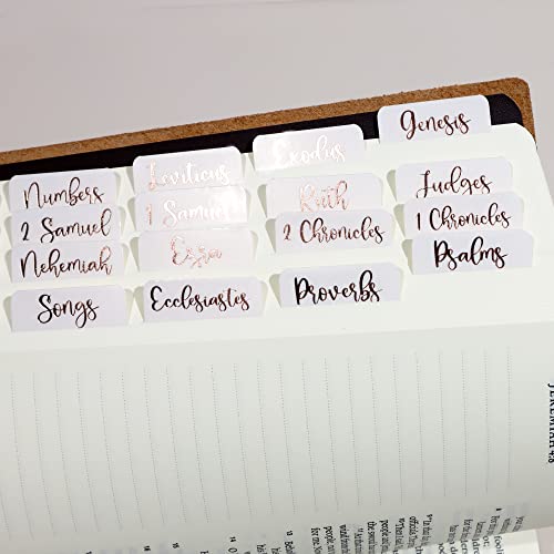 Idyllic Grace Creamsicle Bible Tabs Bronze Foil Bible