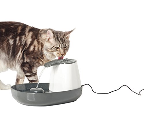 Buy Savic Cascade 31 Drinking Fountain For Cat 15 L