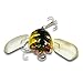 New Fishing Tackle Lure Snakehead Bass Killer Insect Cicada Freshwater Bait 6g