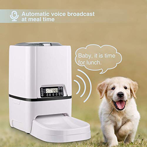 amzdeal Automatic Cat Feeder 6L Pet Feeder Dog Food Dispenser with Time