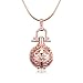 Sahrefashion Hollow Can Open Pendant Necklace Locket Necklace for Fragrance Aromatherapy Essential Oil Diffuser Luminous Bead Pendant