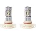 Putco 25PSX24 Optic 360 H20 High Power LED Fog Lamp Bulb,Pack of 2
