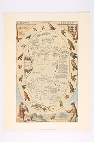 Hawking or Falconry Wall Art Print by Richard Blome (16 x 12 in)