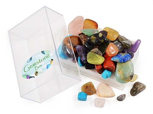 Fossil, Rock & Gemstone Box by Fossil Gift Shop