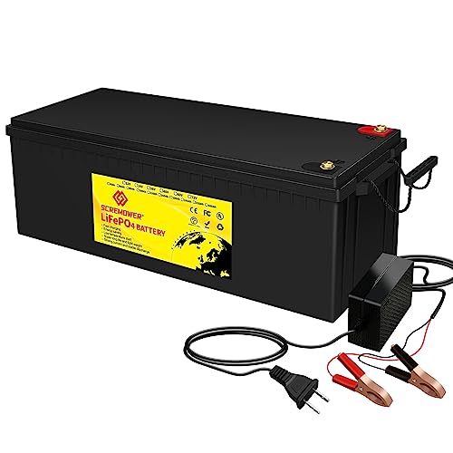 48v 100Ah LiFePO4 Battery Deep Cycle Lithium iron phosphate Rechargeable Battery Builtin BMS