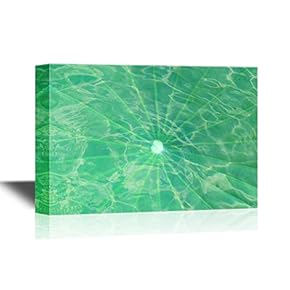 Canvas Wall Art - Lotus Leaf Under Water Surface - Gallery Wrap Modern Home Art | Ready to Hang - 12x18 inches