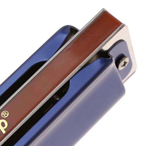 image for Jesse 10 Hole Key of C Blues Harmonica, Metal Harmonica Key Educationa