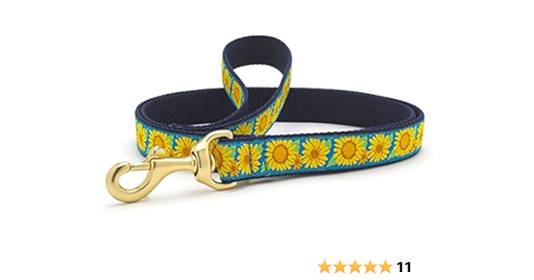 up country dog leash