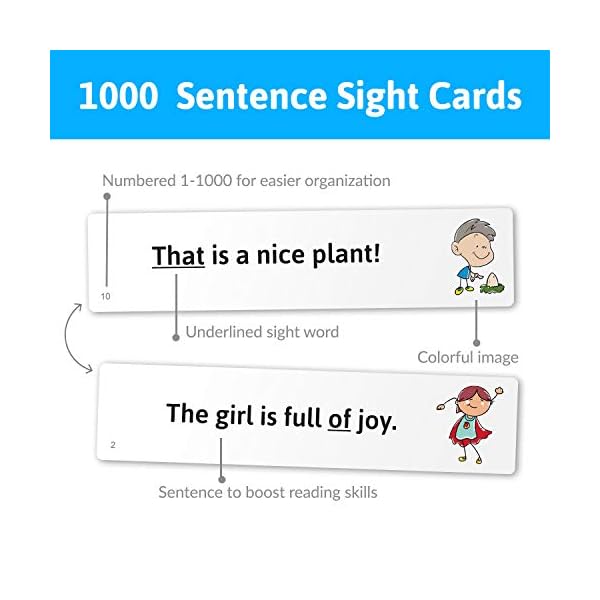 1,000 Sight Words Flashcards Bundle - Dolch Fry Word List Pre-K To 3rd Grade