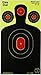 GlowShot Targets 100 Pack - 18x10 Silhouette New Bigger Splatter & Brighter Colors (100 Pack)