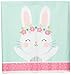 Creative Converting Party Supplies, Bunny Party Plastic Tablecloth, Tablecover, Multicolor, 102in X 54In