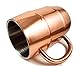 Polar Mugs Double Wall Air Insulated Stainless Steel Mug with Lid and Bottle Opener, 16.9-Ounce, Copper