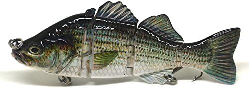 4" & 6" Fishing Swimbait Lure Life-Like Perch Rainbow Crappie Bluegill Striper (C, 6 Inches)