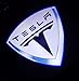 Grolish 2Pcs Car Door Logo Projector Light Symbol Welcome Lamp Kit for Tesla
