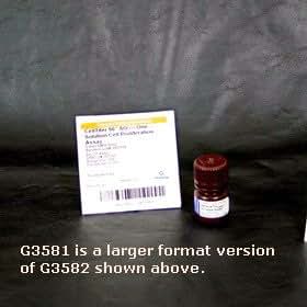 Celltiter 96 aqueous one solution essay 08 image