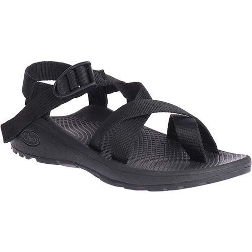 chaco mega z cloud kaleido katydid