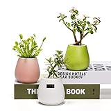 Modern Flower Pot, Ceramic Succulent Pots, 3 Inch Pots for Plants with Drainage, Set of 3 Plant Pots Indoor