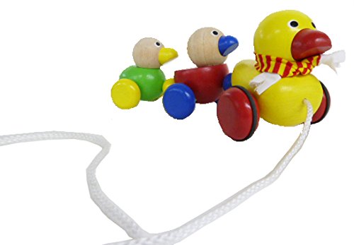 Wonderworld Duck Family Wooden Pull-Along Toy