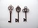 Mixed Set of 30 Large Skeleton Keys in Antique Copper - Set of 30 Keys (Copper Color)