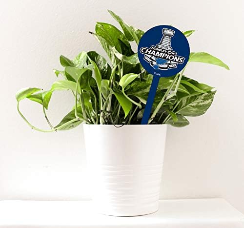 Auténtico Letrero de Calle St. Louis Blues Stanley Cup 2019 Champs ...