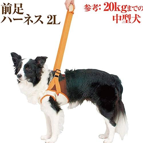 他店圧倒価格 最安値に挑戦 犬 歩行 介護用品 歩行補助 後ろ足 ハーネス 2l 高齢犬 シニア 老犬 犬用 最新モデルが入荷 Centrodeladultomayor Com Uy