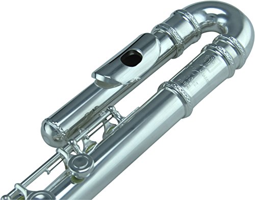 Trevor James 10X Flute with Curved & Straight Headjoints