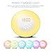 Wake Up Light Alarm Clock - 7 Colors Light - Sunrise Simulator Alarm Clock With Night Light - Nature Sounds - FM Radio - USB Charger - Touch Control - For Heavy Sleepers