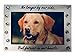 NewLifeLandia Pet Memorial Picture Frame Keepsake for Dog or Cat, Perfect Loss of Pet Gift for Remembrance and Healing