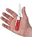 Case Cutlery 60543 Smooth Dark Red Bone Barlow (62009 1/2 SS)