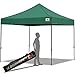 ABCCANOPY Patio Pop Up Canopy Tent 10x10 Commercial-Series (Forest Green)