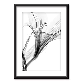 Framed Flowers Art in Black Picture Frames White Matting