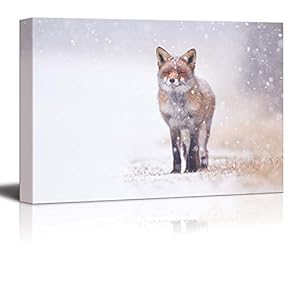 Red Fox In Snow - Canvas Art