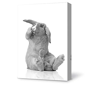Canvas Wall Art Pet Rabbit Canvas Painting Wall Poster Decor for Living Room Framed Home Decorations - 12x18 inches