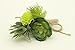 Yokoke Handmade Artificial Succulent Corsage Wristlet Realistic Cute Green Plants Boutonniere for Wedding Decor 4 Pcs