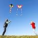 SINGARE Large Rainbow Delta and Butterfly Kites 2 Pack Easy Flyer Kites with Long Colorful Tail for Kids Adults Outdoor Game, Activities, Beach Trip, Great Gift to Kids Childhood Precious Memories