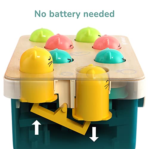 TOP BRIGHT Developmental Toys for 1 Year Old Wooden Pounding Bench Toy