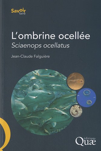 L' ombrine ocellée, sciaenops ocellatus