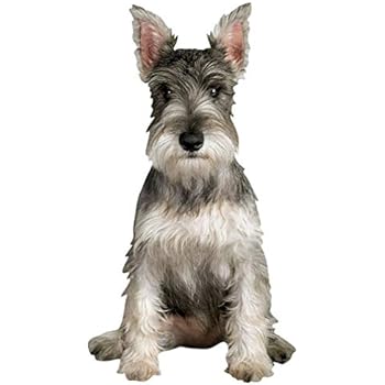 Paper House Productions 3.75